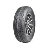 Foto pneumatico: APLUS, A701 225/65 R1616 100H Invernali