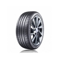 Foto pneumatico: APTANY, RA 301 XL 205/40 R1717 84W Estive