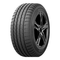 Foto pneumatico: ARIVO, Ultra ARZ-4 255/40 R1919 100W Estive