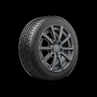 Foto pneumatico: BFGOODRICH, ADVANTAGE 185/60 R1414 82H Estive