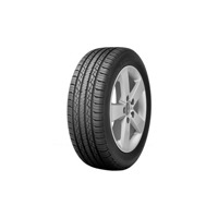 Foto pneumatico: BFGOODRICH, ADVANTAGE 195/55 R1616 87H Estive