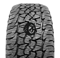 Foto pneumatico: BFGOODRICH, TRAIL TERRAIN T/A 225/60 R1717 99H Estive
