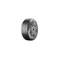 Foto pneumatico: CONTINENTAL, WinterContact TS 870 P 205/60 R1717 93H Invernali