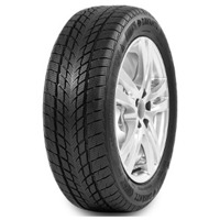 Foto pneumatico: DAVANTI, WINTOURA 165/70 R1414 81T Invernali