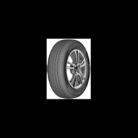 Foto pneumatico: DELINTE, DS2 SUV XL 225/55 R1818 102W Estive