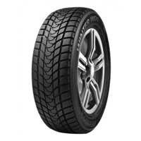 Foto pneumatico: DELINTE, WD1 195/60 R1515 88H Invernali