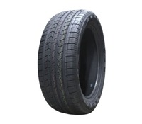 Foto pneumatico: DOUBLESTAR, LANDRIDER DS01 BSW 225/65 R1717 102T Estive