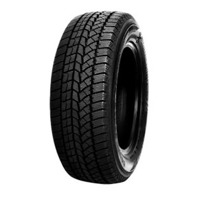 Foto pneumatico: DOUBLESTAR, DW02 175/70 R1414 84T Invernali