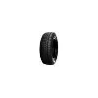 Foto pneumatico: Double Star, WINTERKING DW02 245/45 R1717 99T Invernali