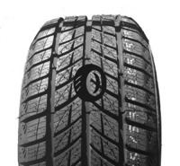 Foto pneumatico: DOUBLESTAR, DW09 WINTERKING 235/55 R1717 99T Invernali