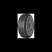 Foto pneumatico: DUNLOP, WINTER CARVER MFS M+S 3PMSF 205/55 R1616 91H Invernali