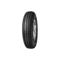 Foto pneumatico: FORTUNA, ecoplus hp 205/55 R1616 91H Estive