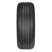 Foto pneumatico: FORTUNA, GOWIN UHP XL 205/55 R1717 95V Invernali