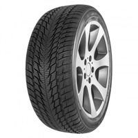 Foto pneumatico: FORTUNA, GOWIN UHP 3 XL 225/45 R1919 96V Invernali