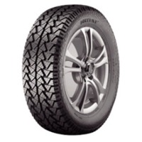 Foto pneumatico: FORTUNE, FSR-302 225/60 R1717 99H Estive