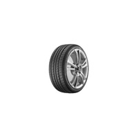 Foto pneumatico: FORTUNE, FSR-701 295/35 R2121 107Y Estive