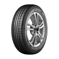 Foto pneumatico: FORTUNE, FSR 801 205/55 R1616 91H Estive