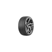 Foto pneumatico: GRENLANDER, ICEHAWKE I 205/40 R1717 84V Invernali