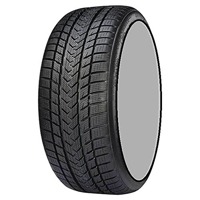 Foto pneumatico: GRIPMAX, STATUS PRO WINTER XL 295/40 R2020 110V Invernali