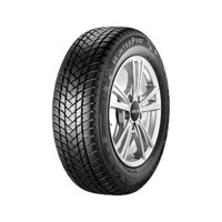 Foto pneumatico: GTRADIAL, WINTER PRO 2 185/70 R1414 88T Invernali