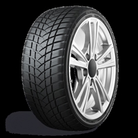 Foto pneumatico: GTRADIAL, WINTERPRO2 SPORT 225/50 R1717 98V Invernali