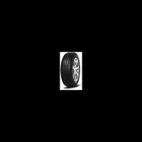 Foto pneumatico: MINERVA, EcoSpeed 2 255/55 R2020 110W Estive