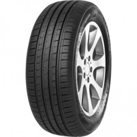 Foto pneumatico: MINERVA, F 209 205/70 R1515 96T Estive