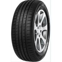 Foto pneumatico: MINERVA, F 209 205/60 R1515 91H Estive