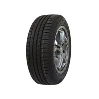 Foto pneumatico: NANKANG, AS 1 315/35 R2020 110Y Estive