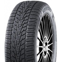 Foto pneumatico: NANKANG, SV 4 XL 245/45 R1818 100V Invernali