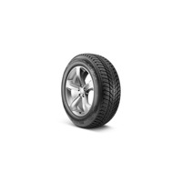 Foto pneumatico: NEXEN, WINGUARD ICE PLUS NORDIC 205/55 R1616 91T Invernali