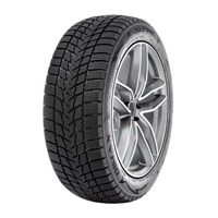 Foto pneumatico: RADAR, DIMAX ALPINE 195/55 R1616 91H Invernali