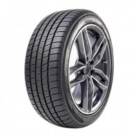 Foto pneumatico: RADAR, RPX-800 195/45 R1717 81W Estive