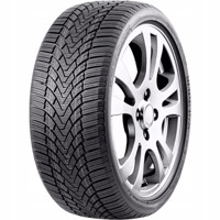 Foto pneumatico: ROADMARCH, WINTERXPRO 888 205/40 R1717 84V Invernali