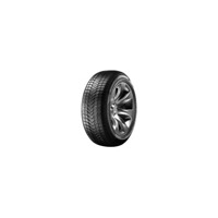 Foto pneumatico: SUNNY, NC501 XL 225/55 R1717 101W Quattro-stagioni