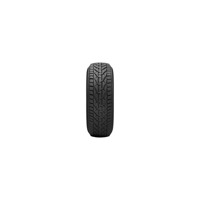 Foto pneumatico: RIKEN, SNOW EL 225/45 R1717 94V Invernali