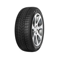 Foto pneumatico: TRISTAR, SNOWPOWER HP 225/35 R1919 88V Invernali