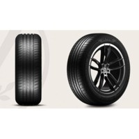 Foto pneumatico: VREDESTEIN, ULTRAC PRO XL FSL 305/30 R2020 103Y Estive