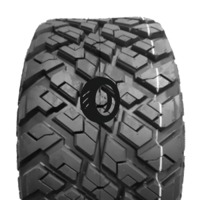 Foto pneumatico: WANDA TYRE, P3118 10/ R1414 80B Quattro-stagioni