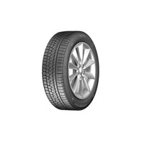 Foto pneumatico: ZEETEX, WH 1000 XL 225/40 R1818 92V Invernali