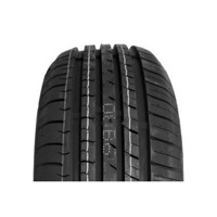 Foto pneumatico: ZMAX, LANDGEMA XL 205/60 R1616 96V Estive