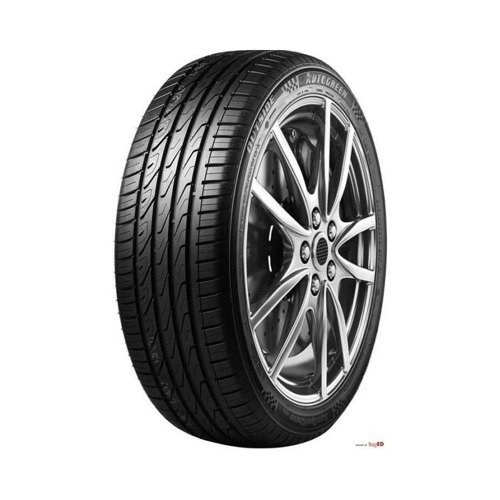 Foto pneumatico: AUTOGREEN, SUPER SPORT CHASER SSC5 205/55 R1717 95W Estive