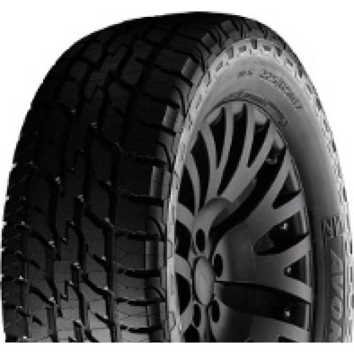 Foto pneumatico: AVON, AX7 225/60 R1717 103H Invernali