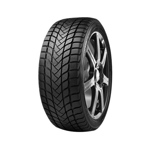 Foto pneumatico: DELINTE, WD6 205/55 R1717 95H Invernali