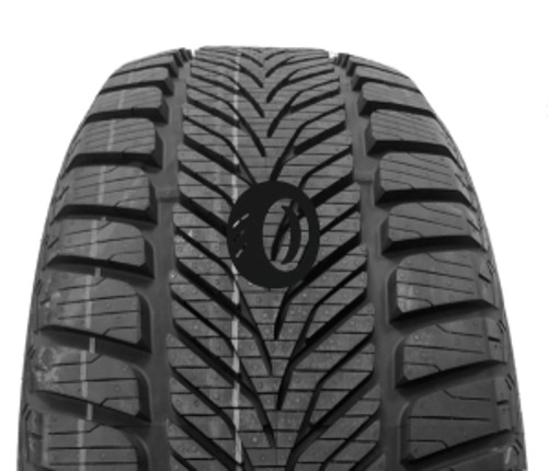 Foto pneumatico: DIPLOMAT, WINTER HP 195/65 R1515 91H Invernali