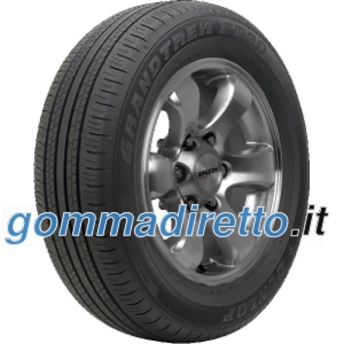 Foto pneumatico: DUNLOP, GRANDTREK PT30 225/60 R1818 100H Estive