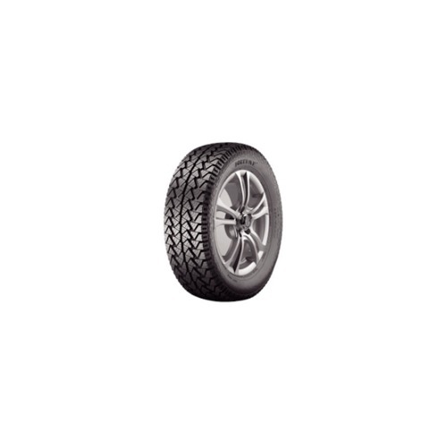 Foto pneumatico: FORTUNE, FSR-302 205/70 R1515 96H Estive