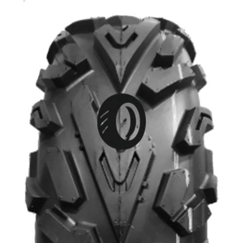 Foto pneumatico: JOURNEY TYRE, P3055 8/ R1212 55F Quattro-stagioni