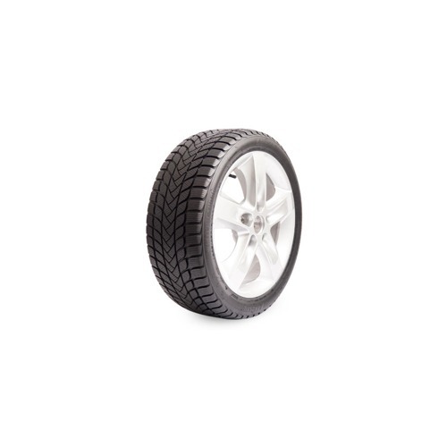 Foto pneumatico: LANDSAIL, WINTER LANDER XL NORDIC 205/55 R1717 95H Invernali