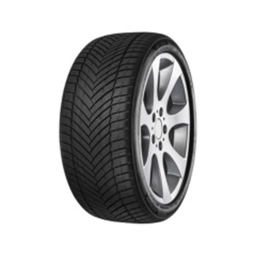 Foto pneumatico: MINERVA, AllSeason Master 195/65 R1515 91H Quattro-stagioni